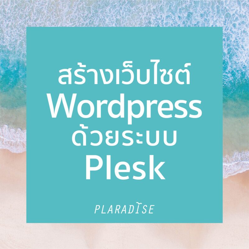 Wordpress Plesk Setting