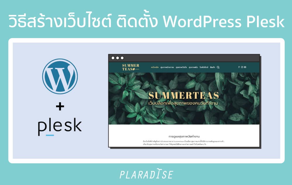 วิธีสร้างเว็บไซต์ ติดตั้ง WordPress Plesk ด้วยตัวเอง อธิบายทีละขั้นตอน